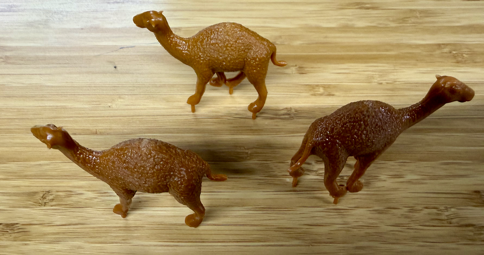 CAMELS - 3 ANIMALS