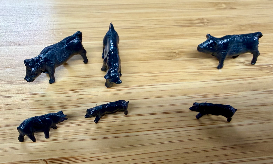 PIGS - 6 ANIMALS
