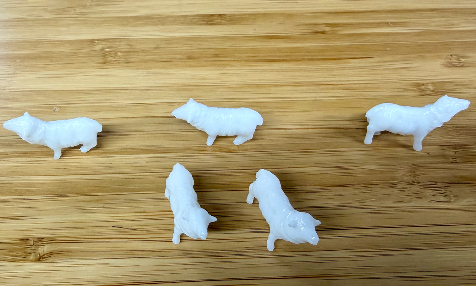 SHEEP - 5 ANIMALS