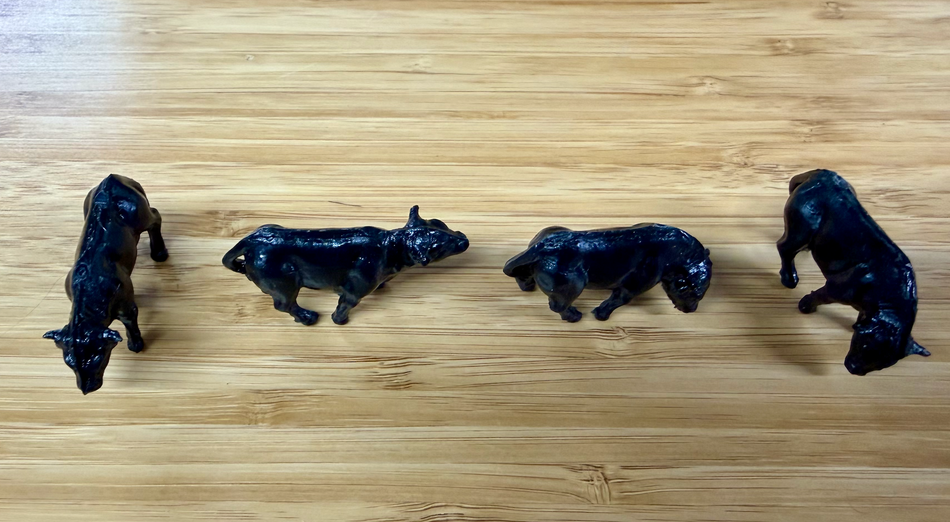 ANGUS COWS - 4 ANIMALS